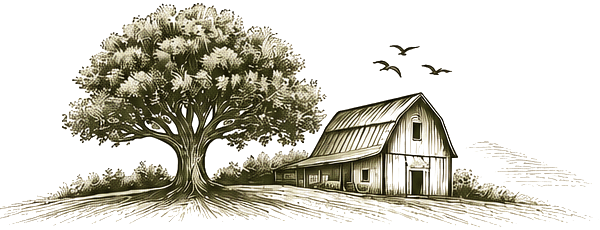 Engraved illustration of an oak tree beside a country barn